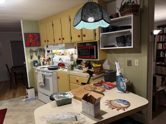 Gallery image 4
