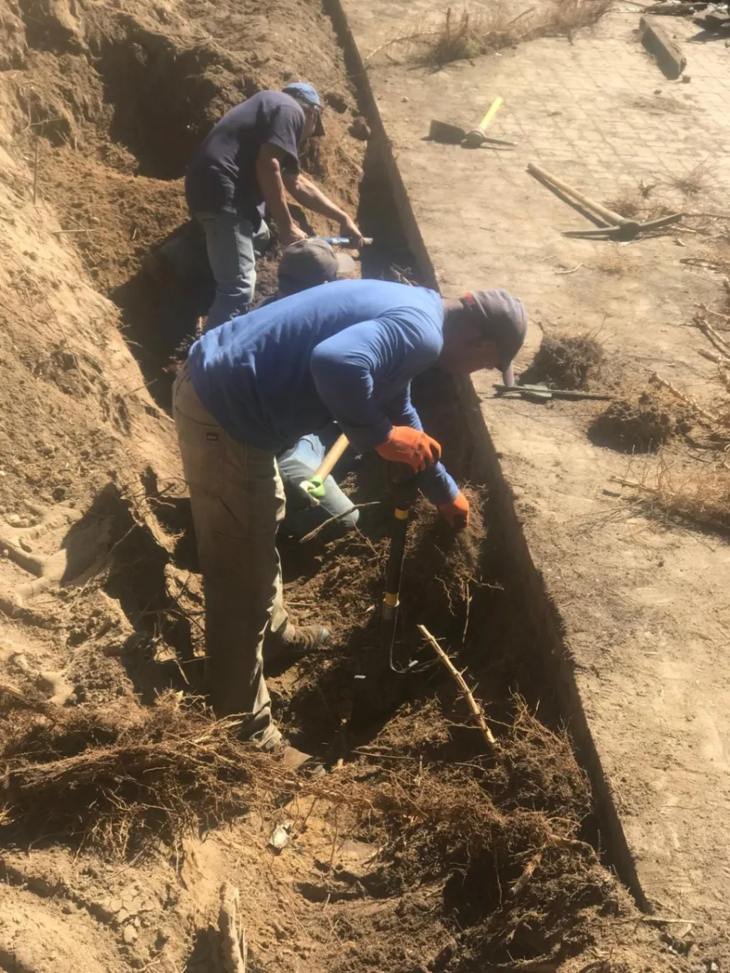 Custom cabinet detail