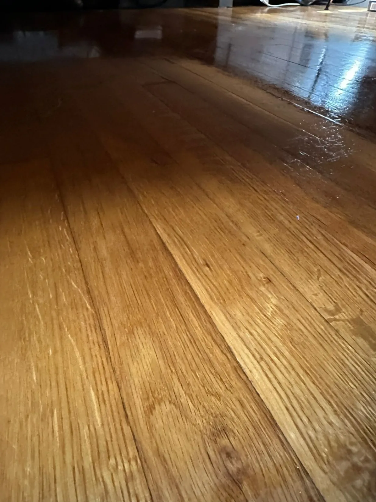 Gallery image 14