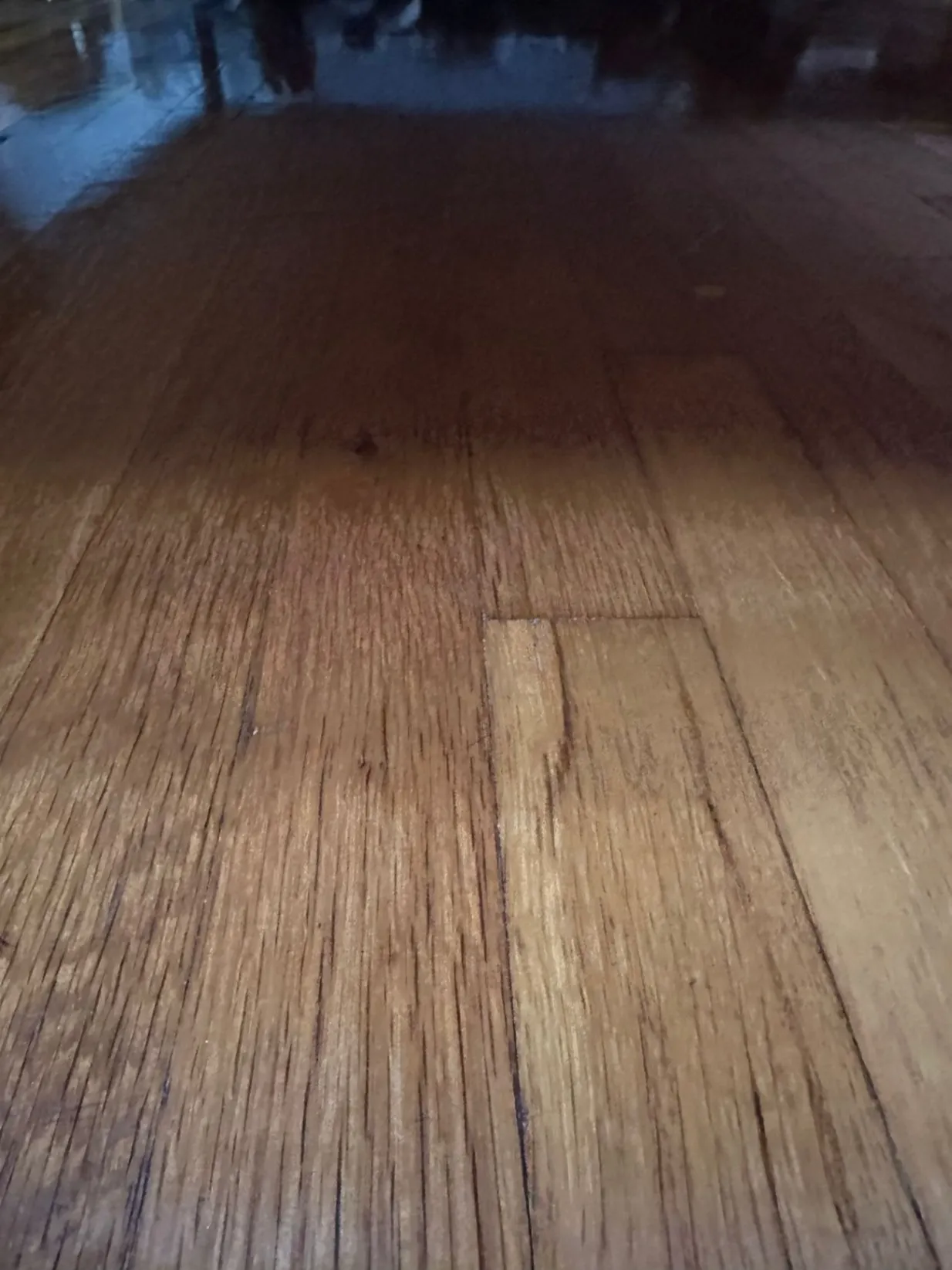 Gallery image 15