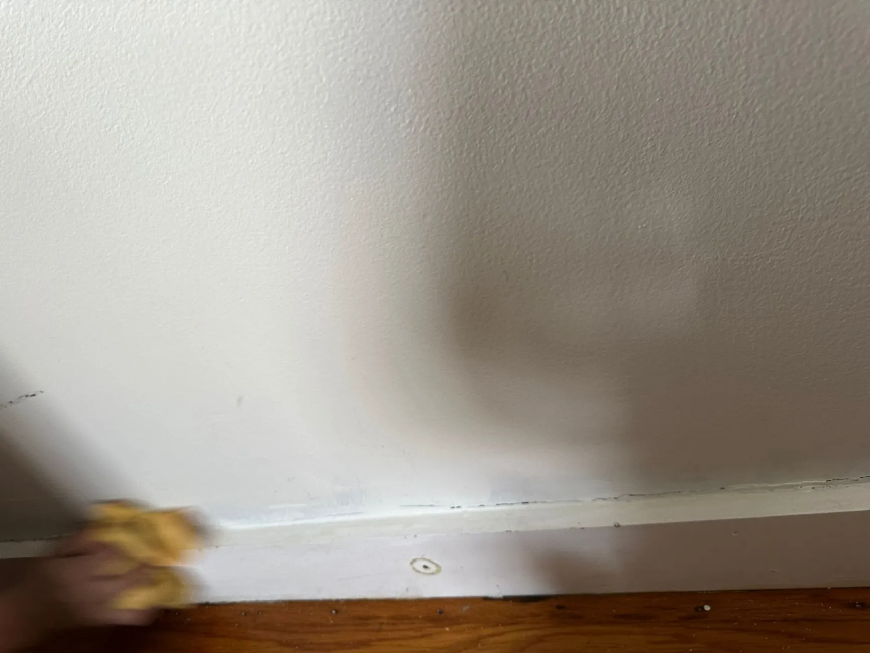 Gallery image 20