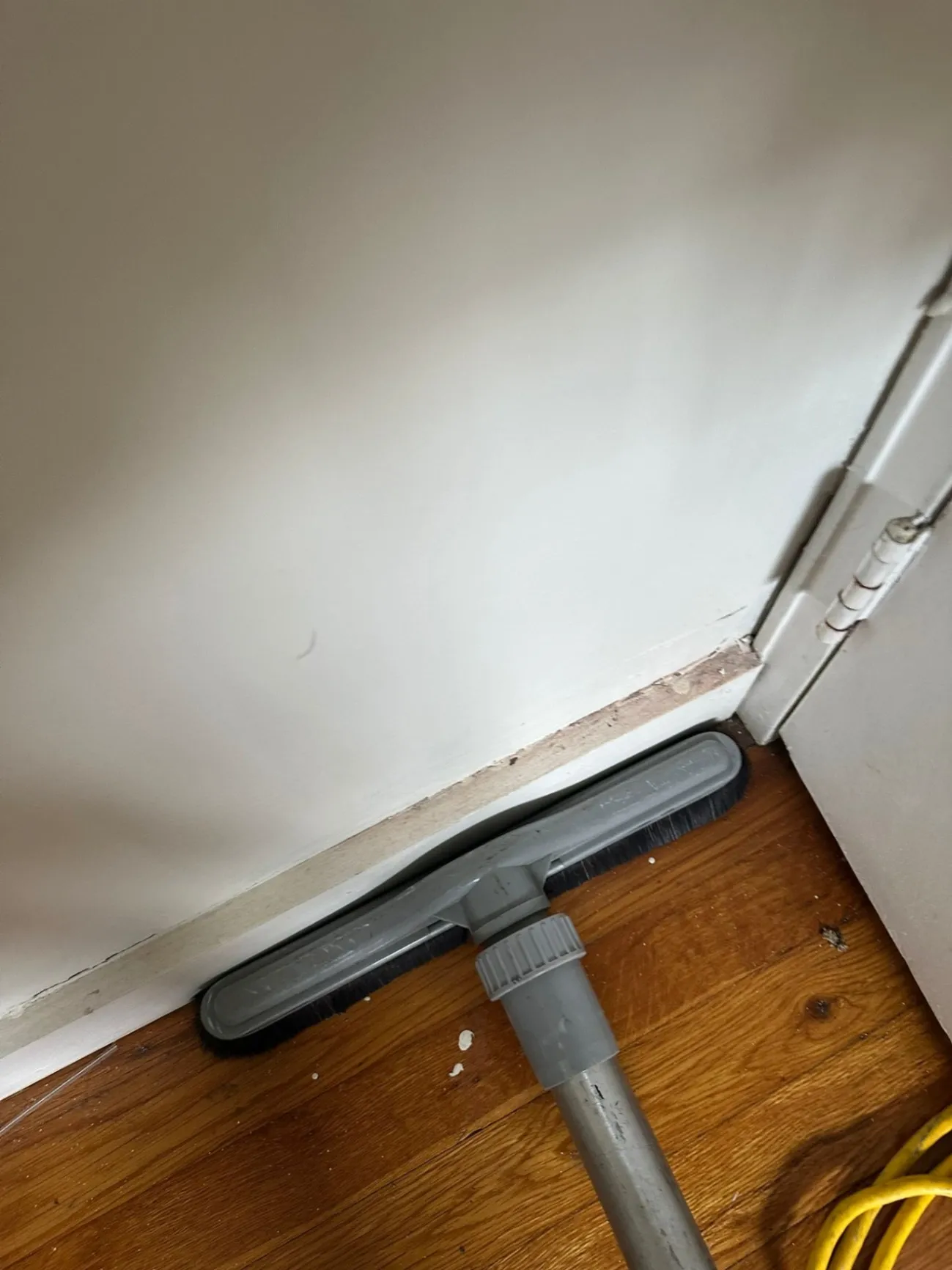 Gallery image 22