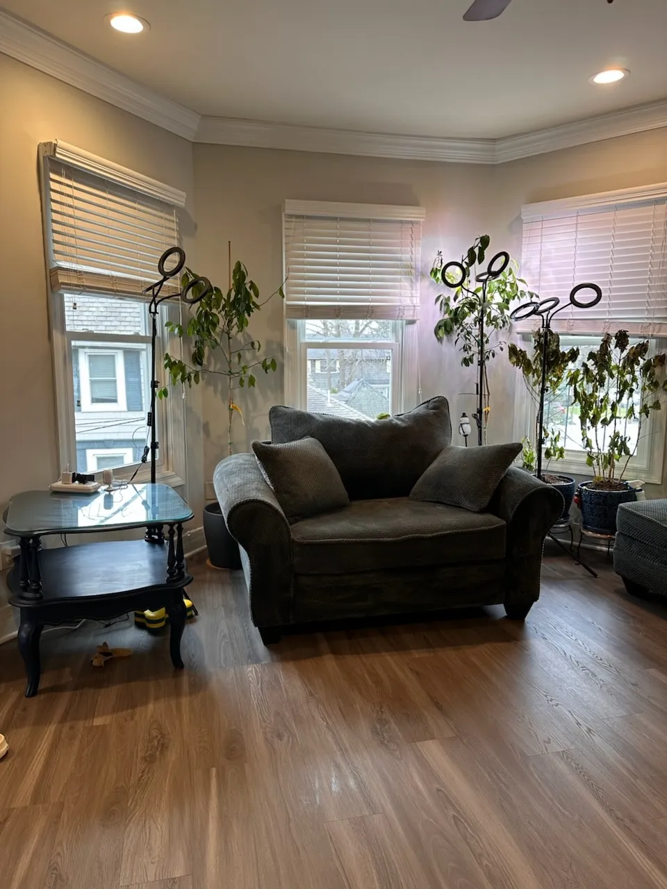 Residential Cleaning
