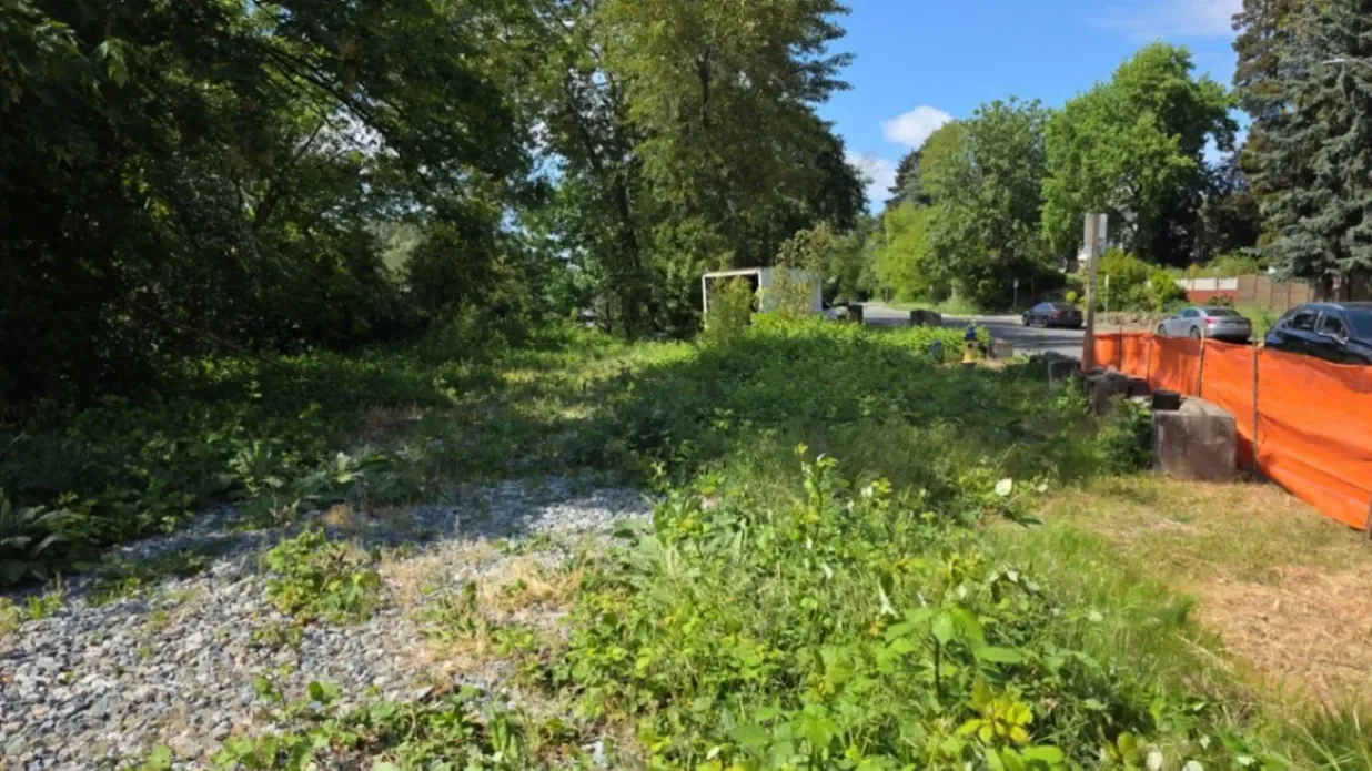 Gallery image 0