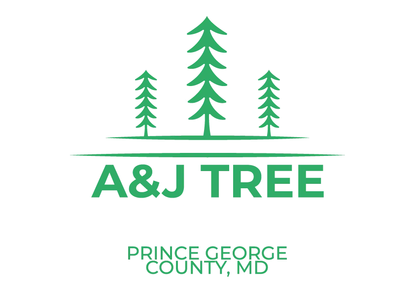 A&J Tree Service LLC