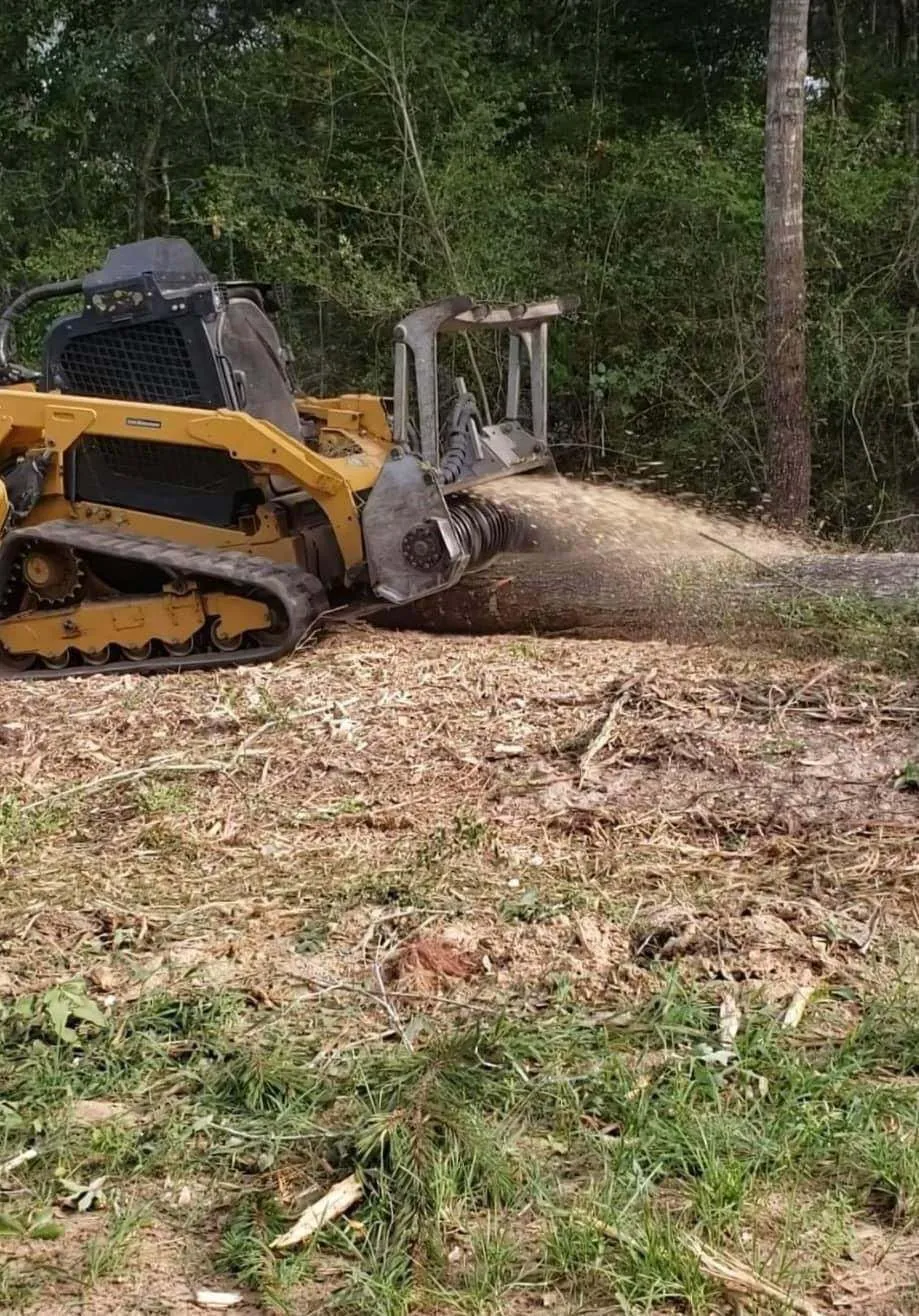 Land Preparation