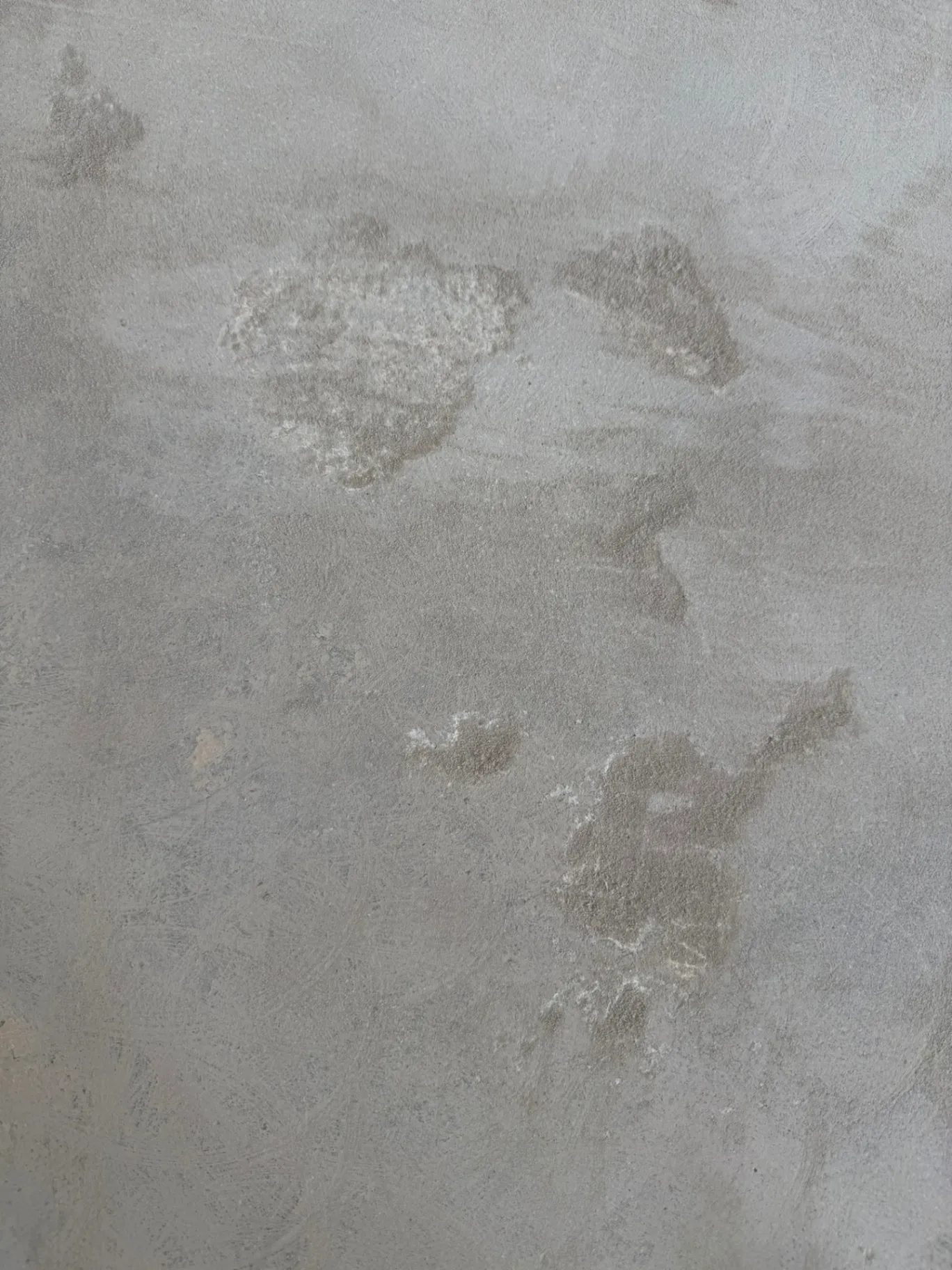 Gallery image 44