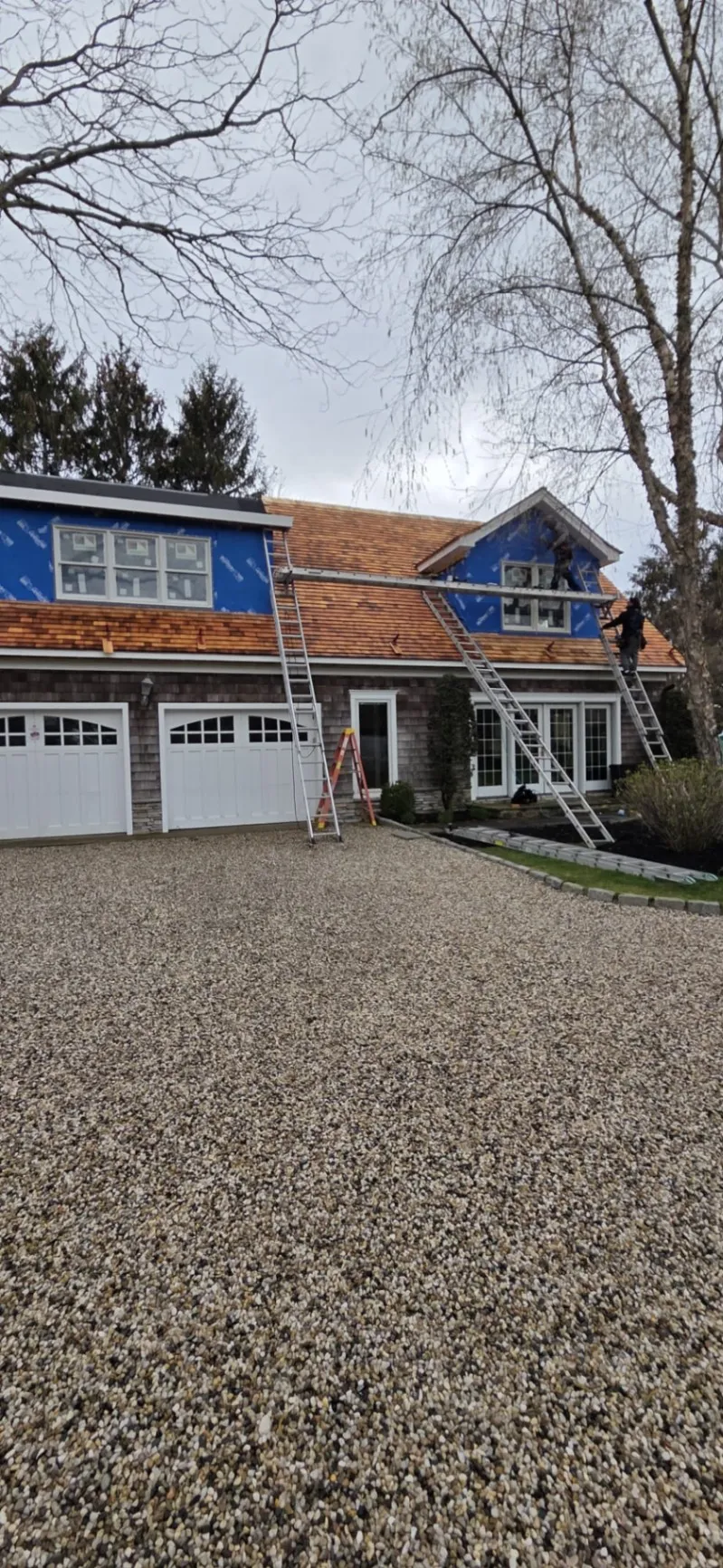 Gallery image 12