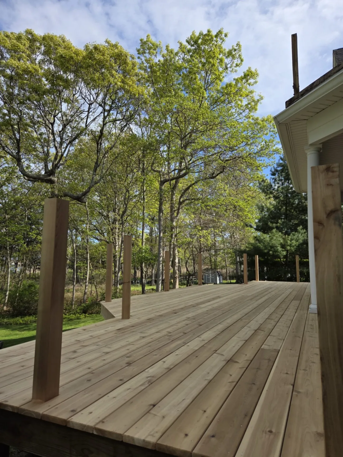 Gallery image 11