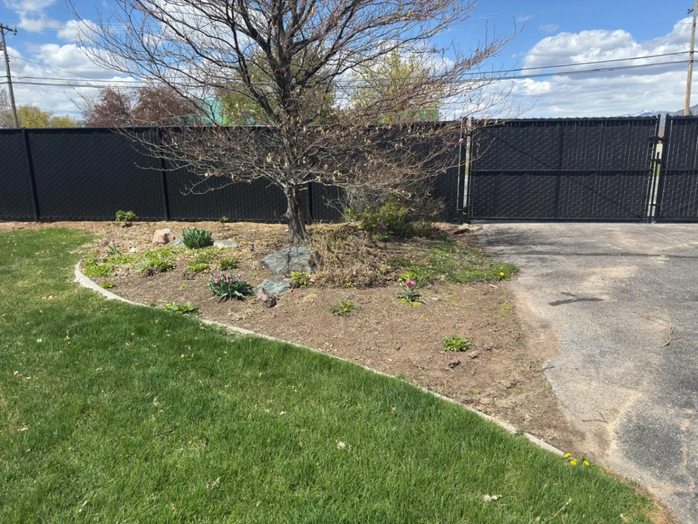 Gallery image 49