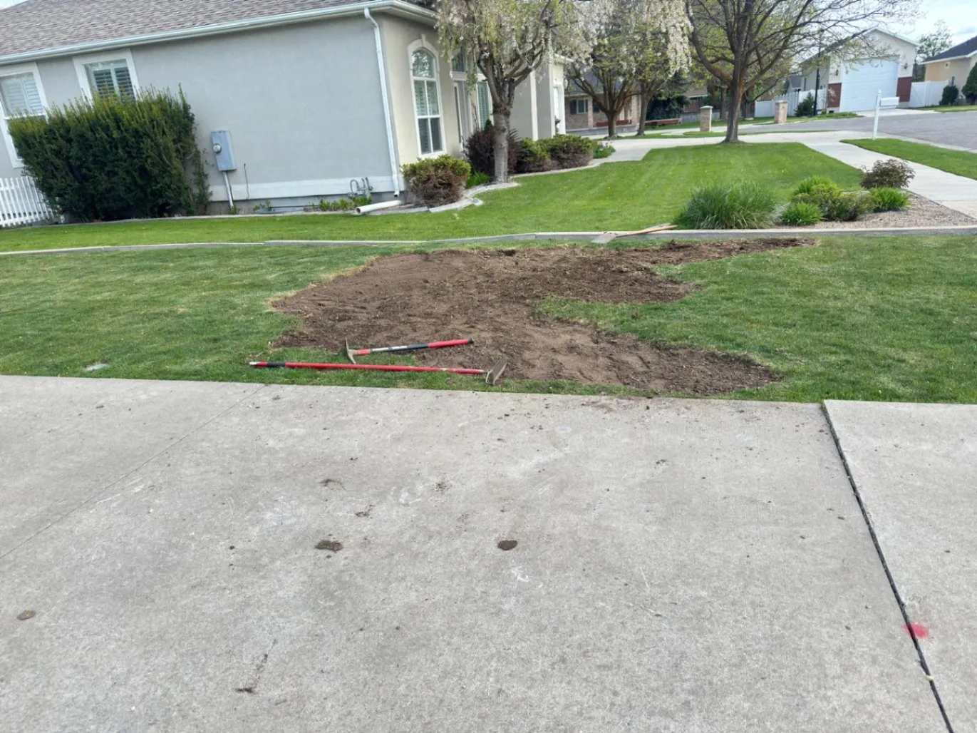 Gallery image 64