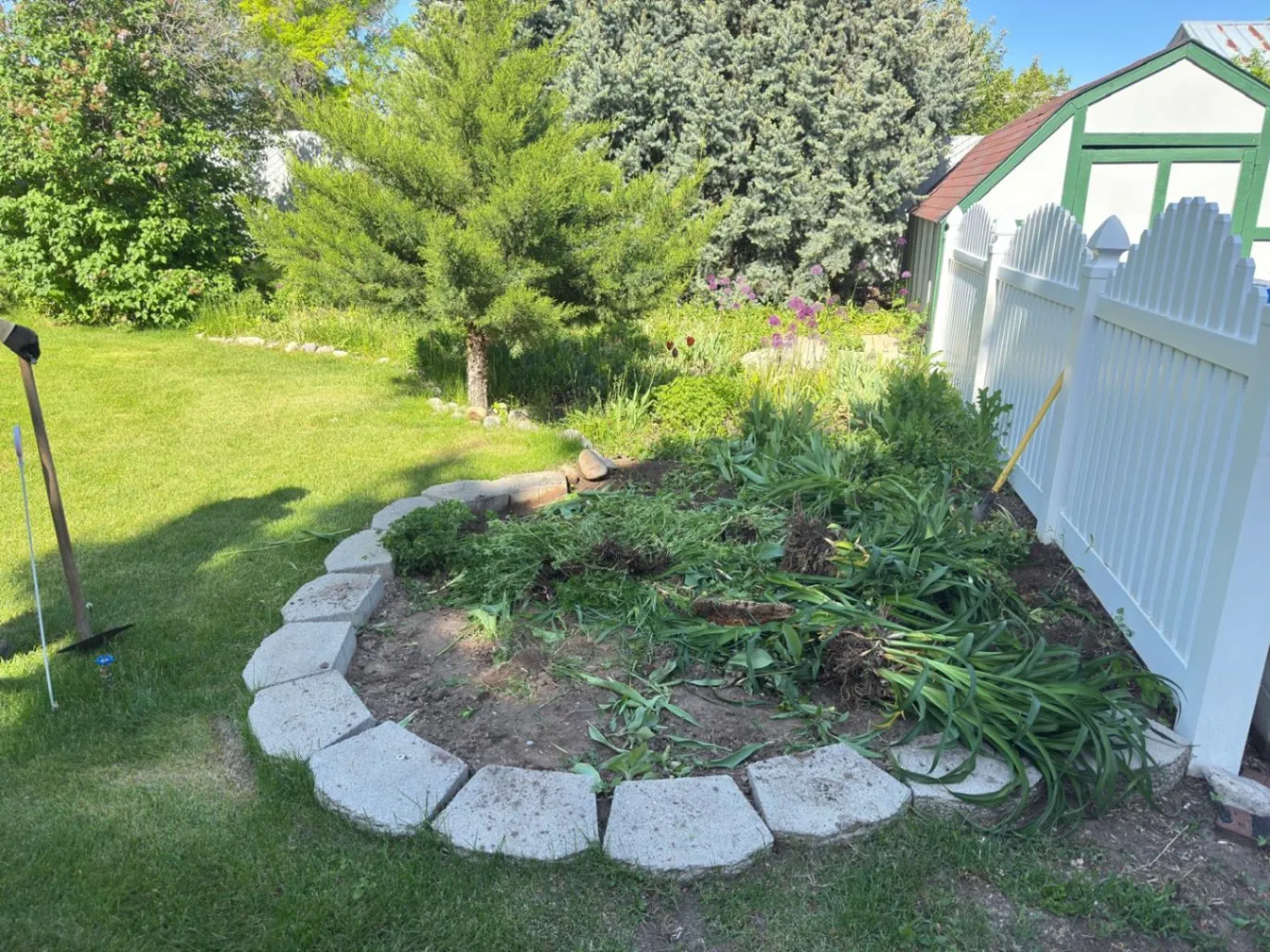 Gallery image 76