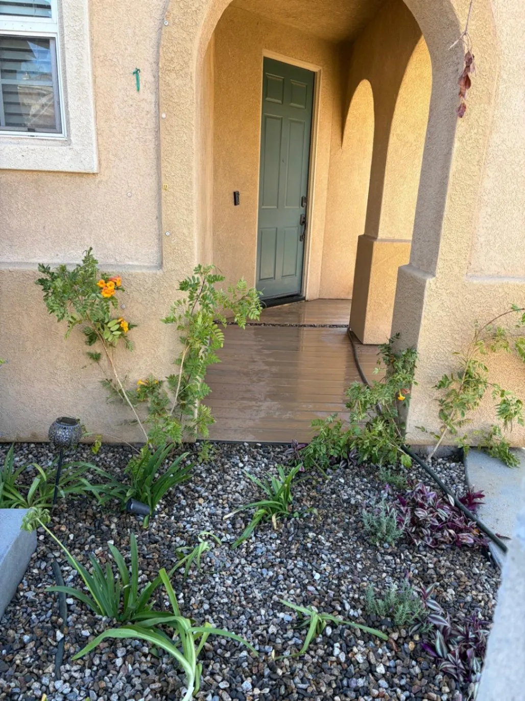 Gallery image 1