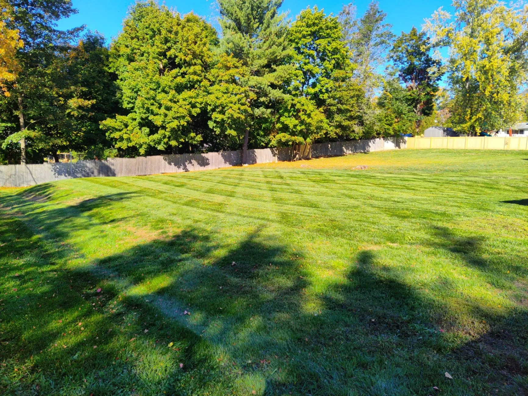 Grass Seeding