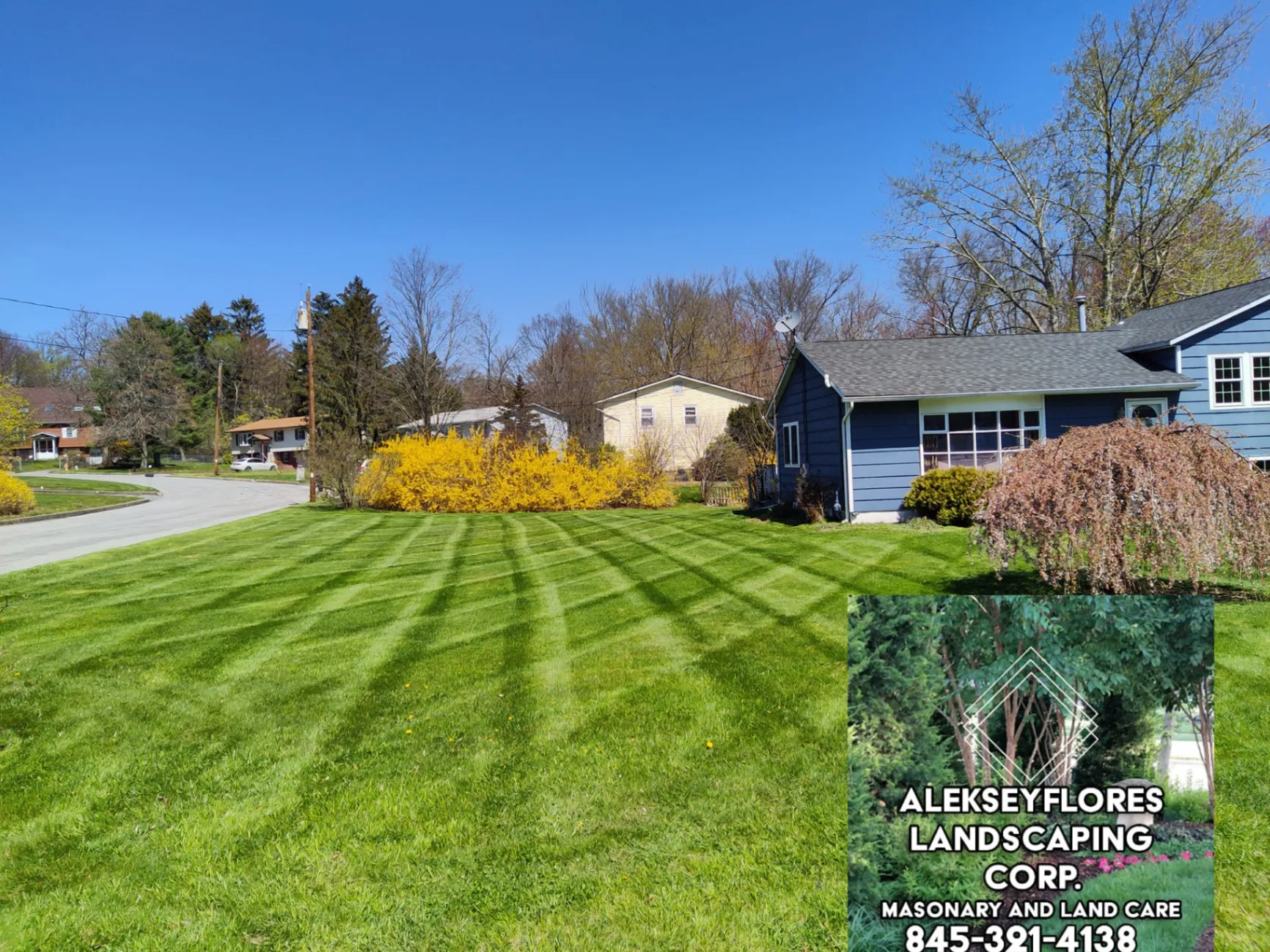 Yard Landscaping