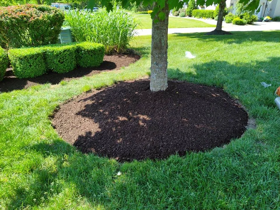 Mulching Services