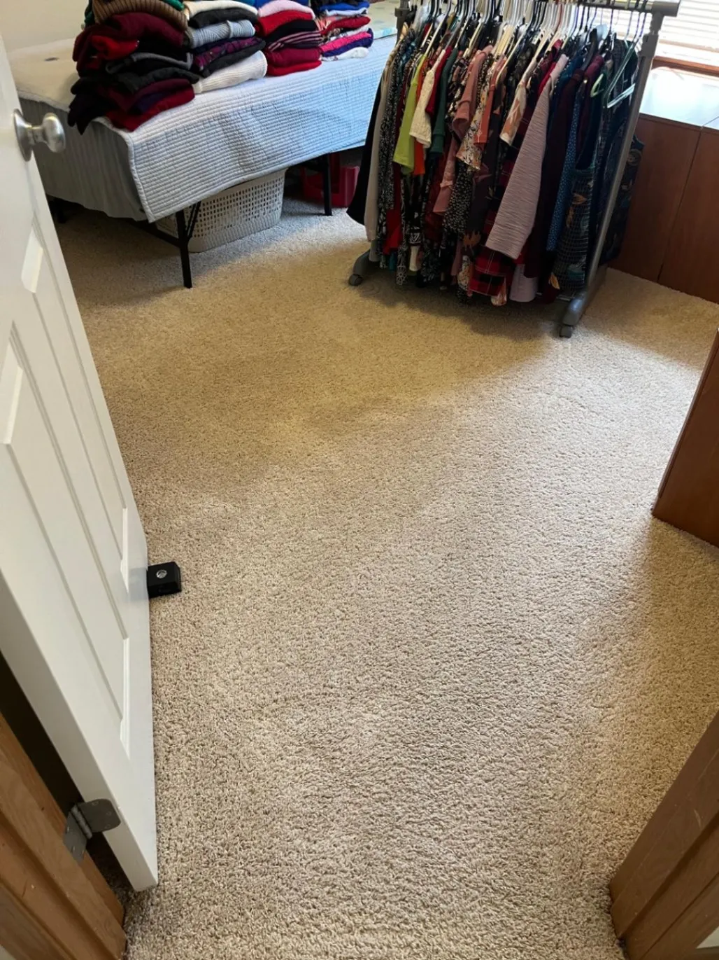 Professional cleaning process