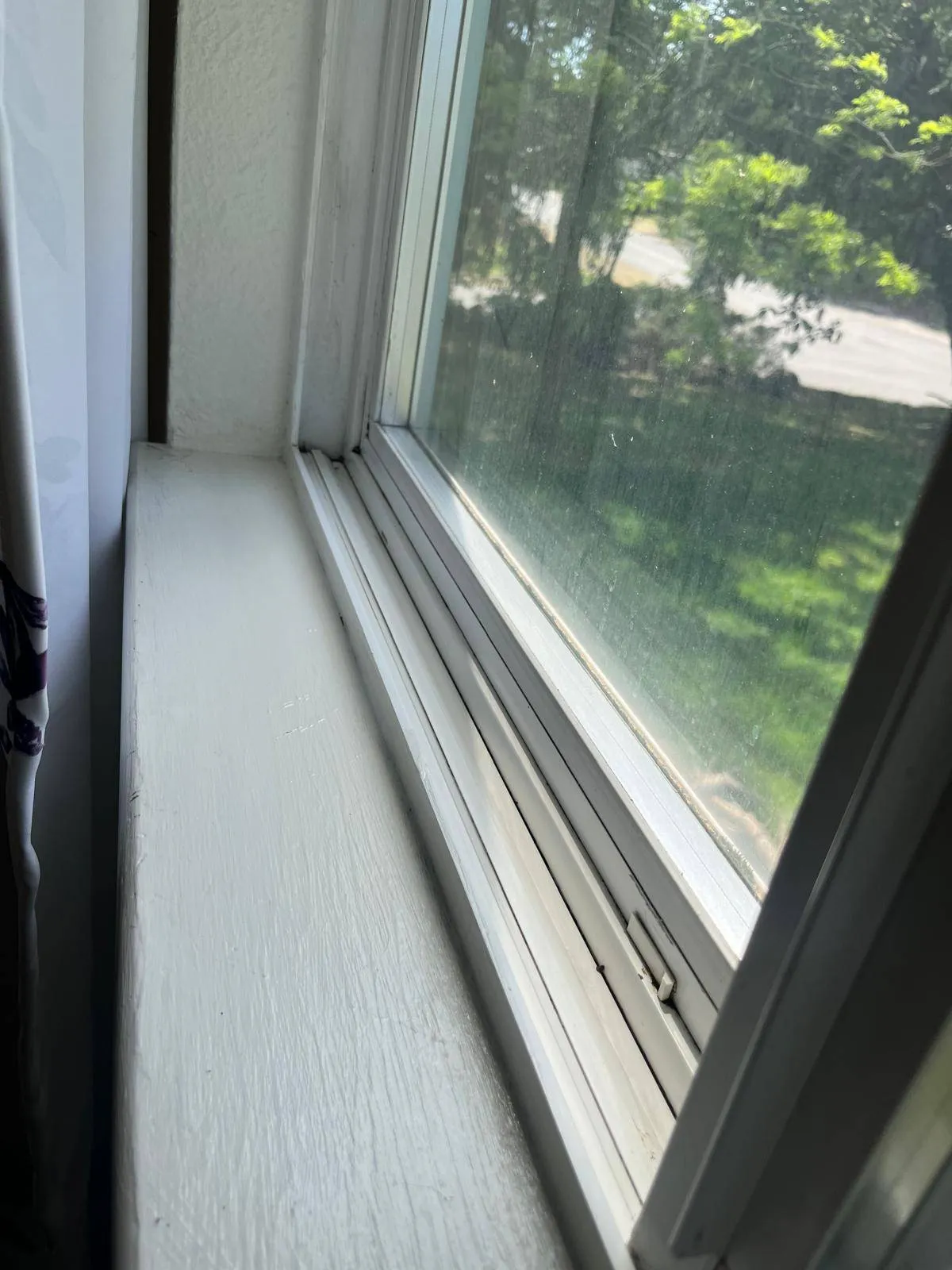 Gallery image 17