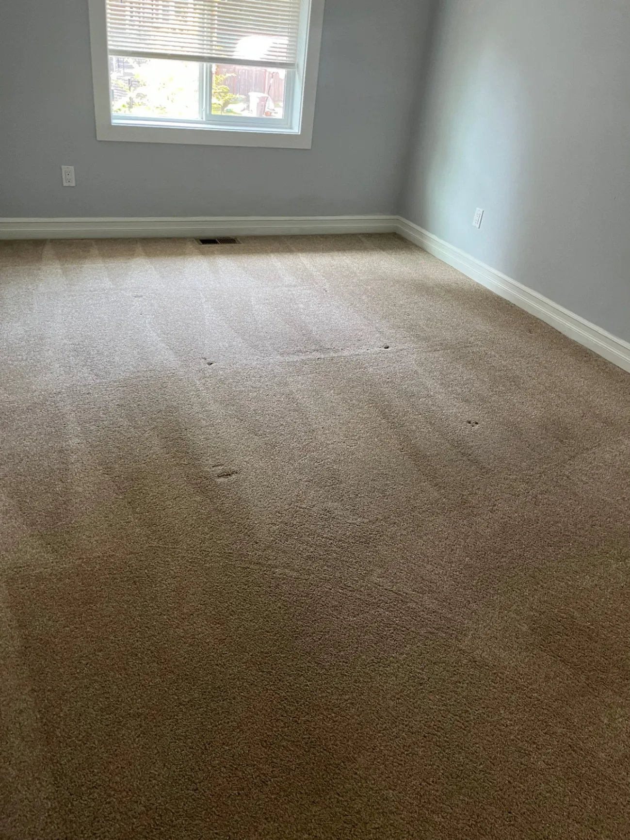 Gallery image 31