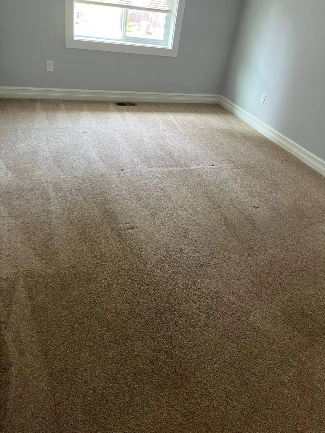 Gallery image 33