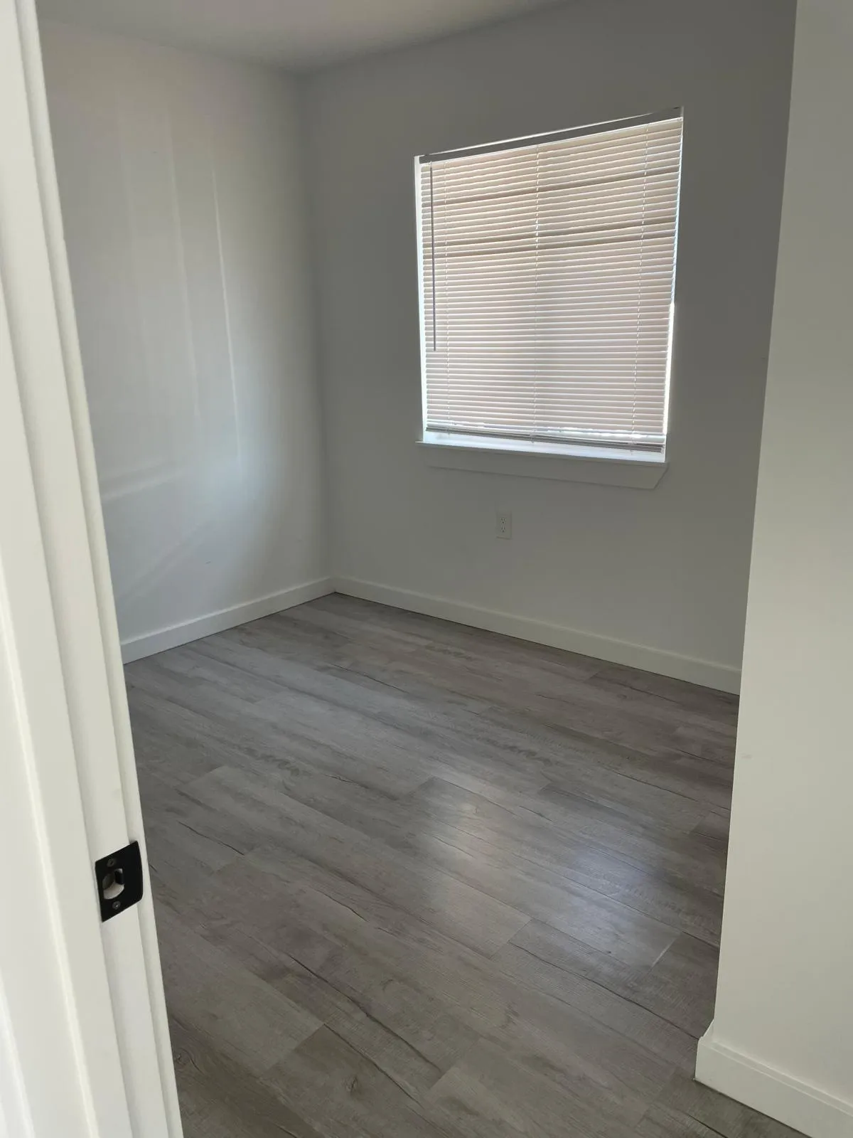 Gallery image 51