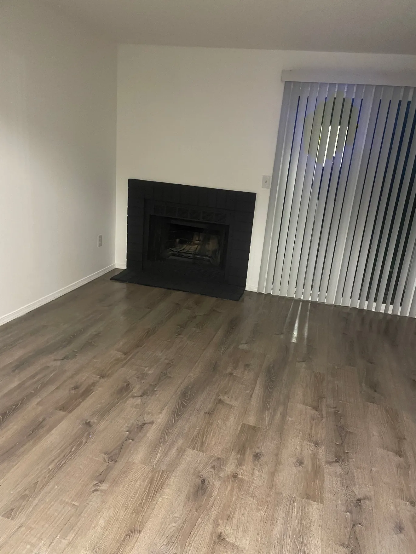 Gallery image 66