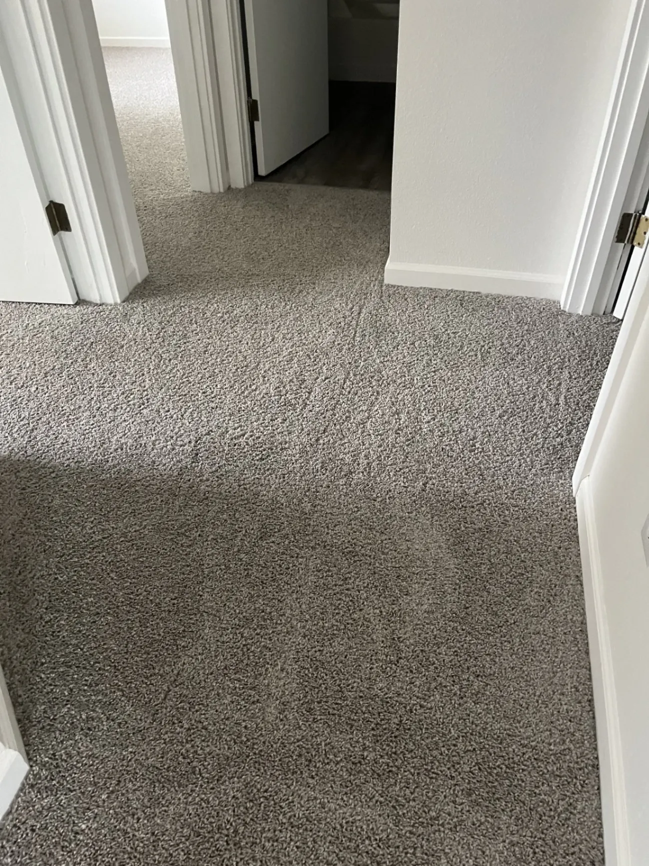Gallery image 72
