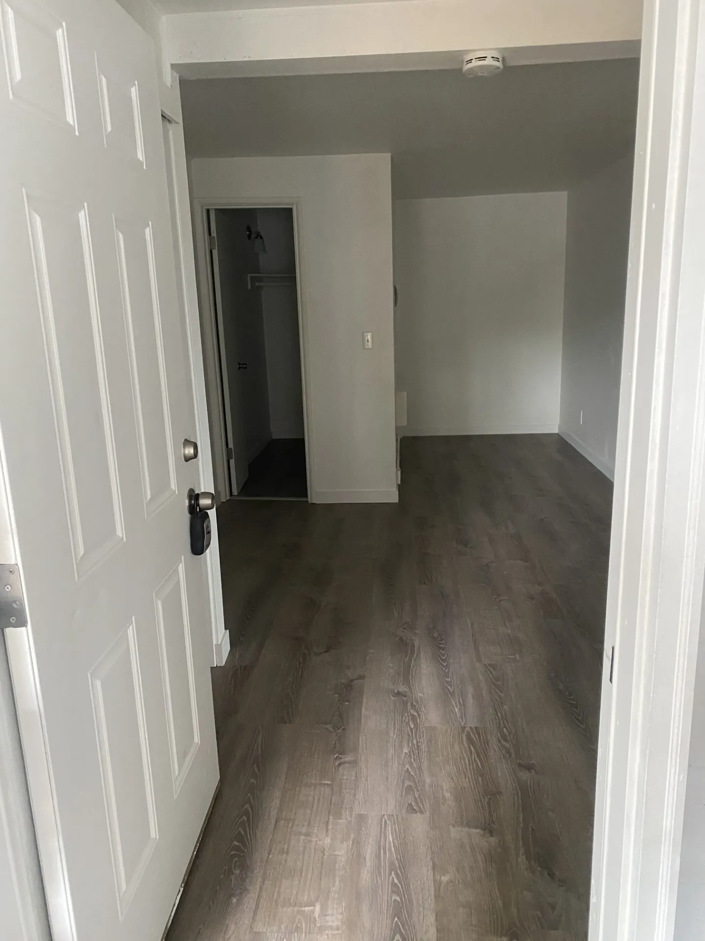Gallery image 182
