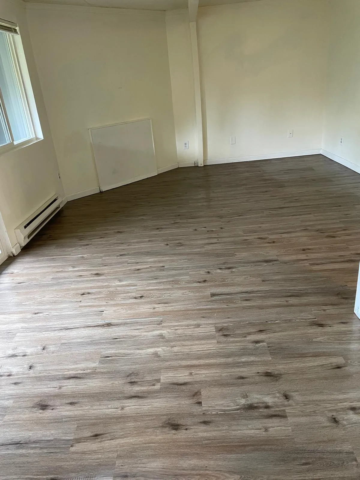Gallery image 181