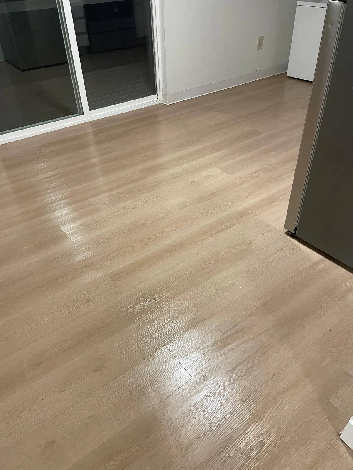 Gallery image 217