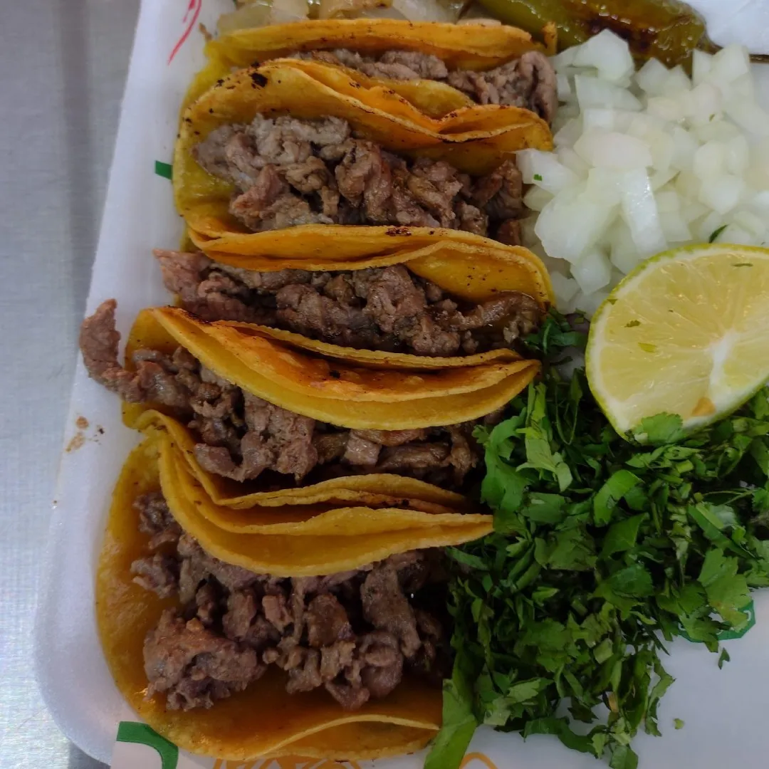 El Tacontento