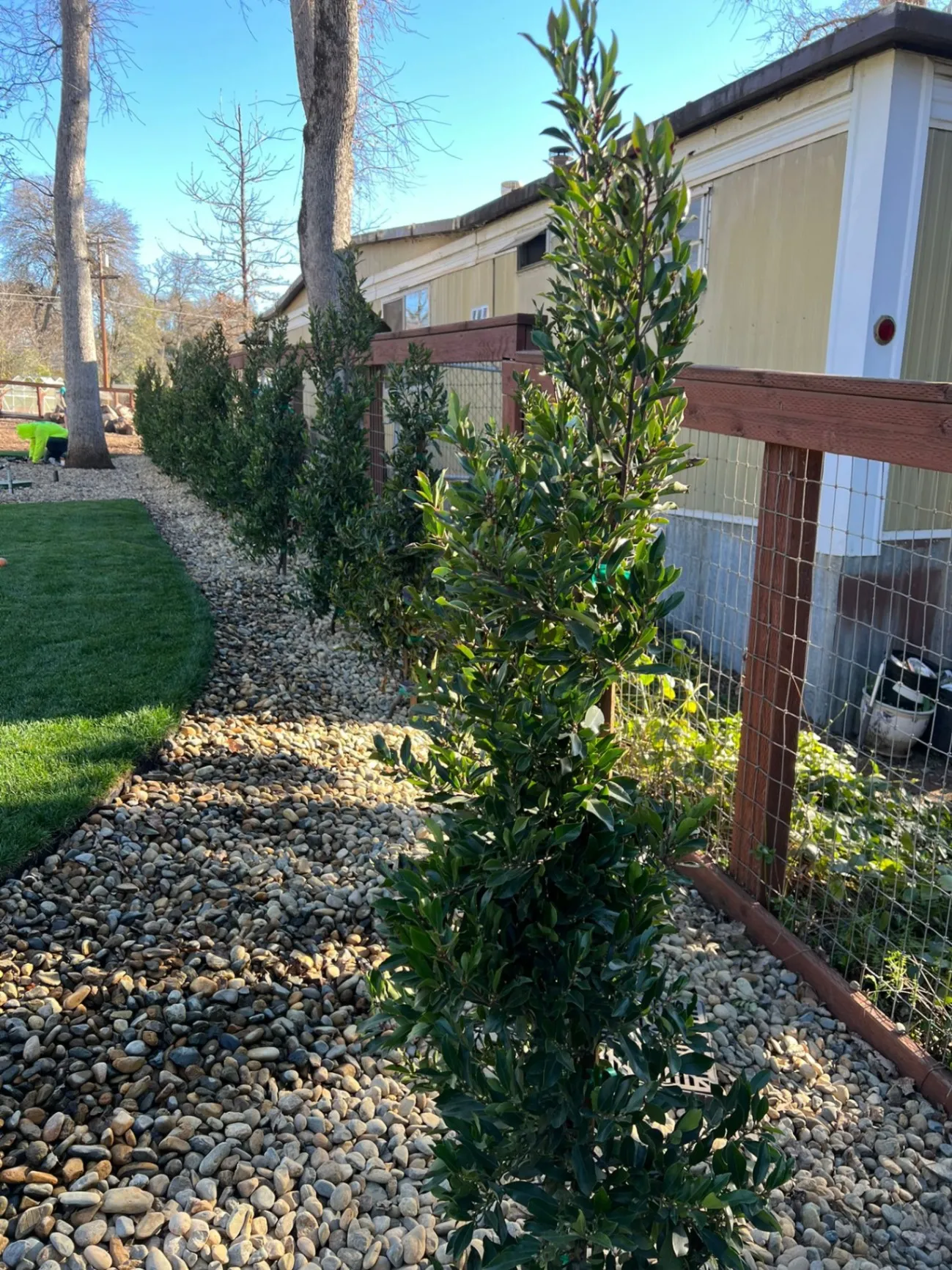 Gallery image 14