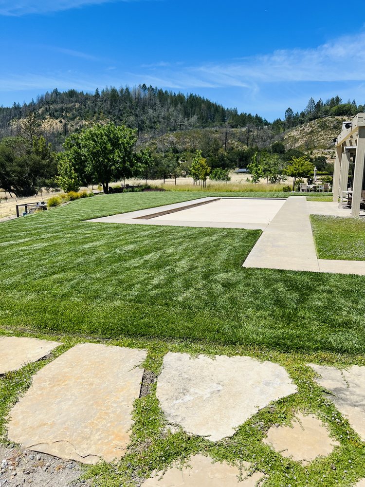 Ruiz Landscaping Inc