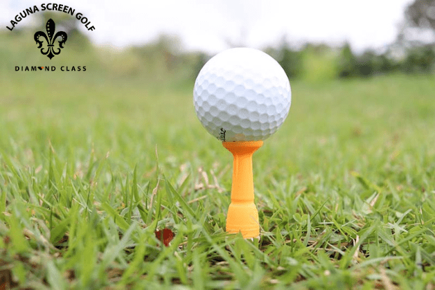 Một số loại tee golf phổ biến hiện nay 