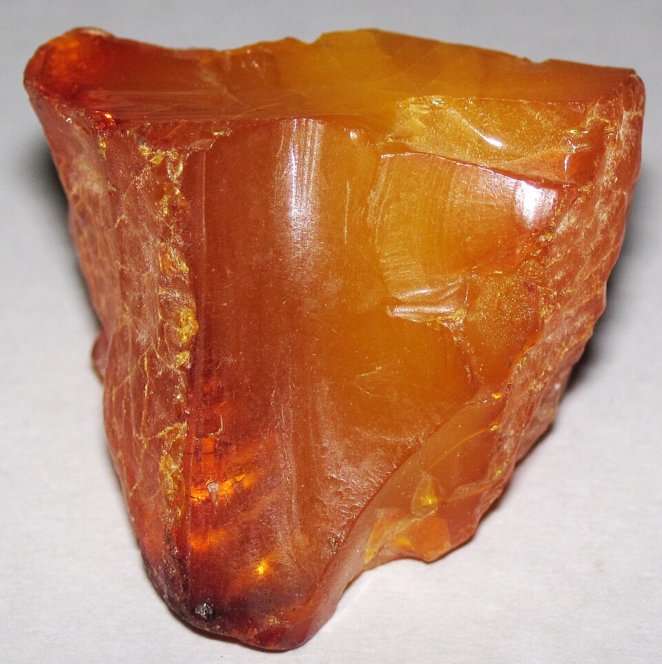 Amber, a sedimentary rock specimen
