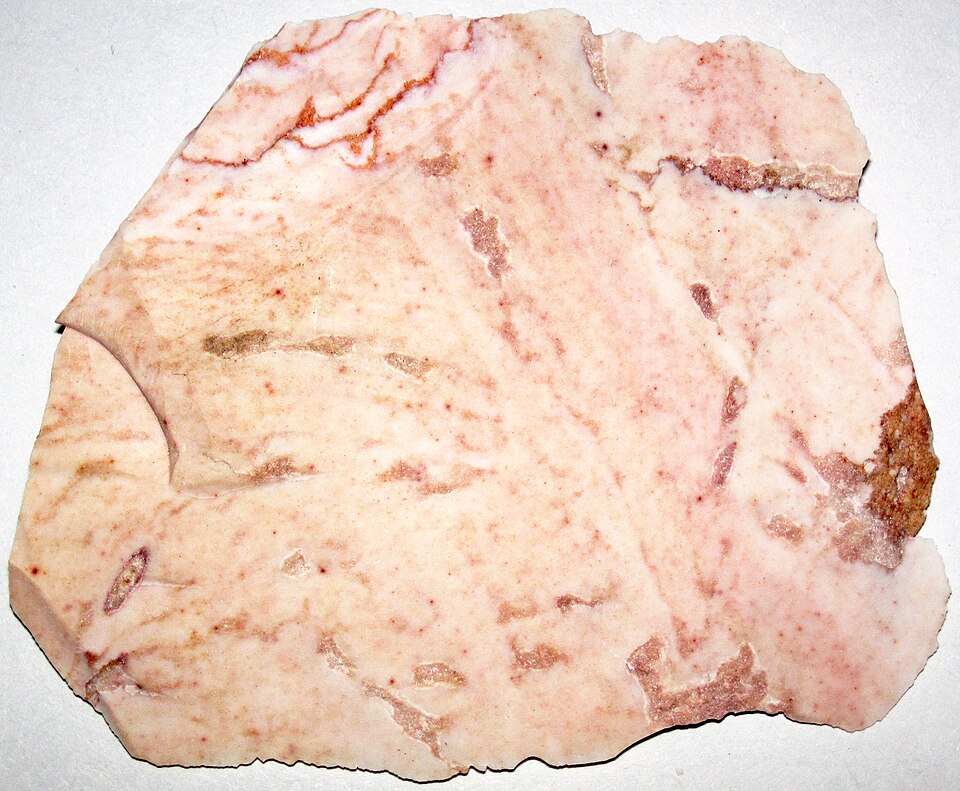 Biogenic Chert
