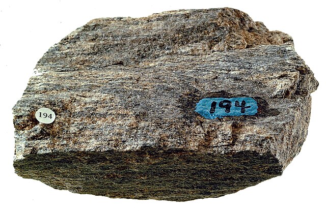 Biotite