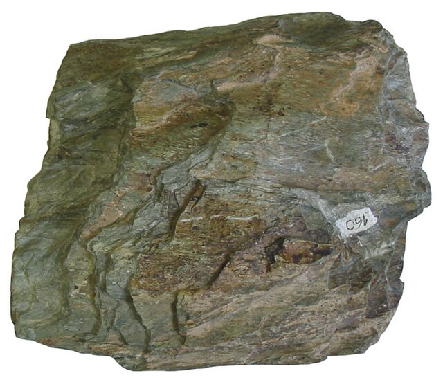 Chlorite Schist