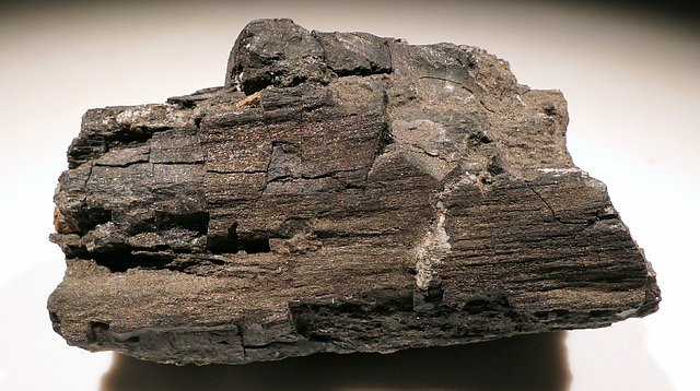Lignite