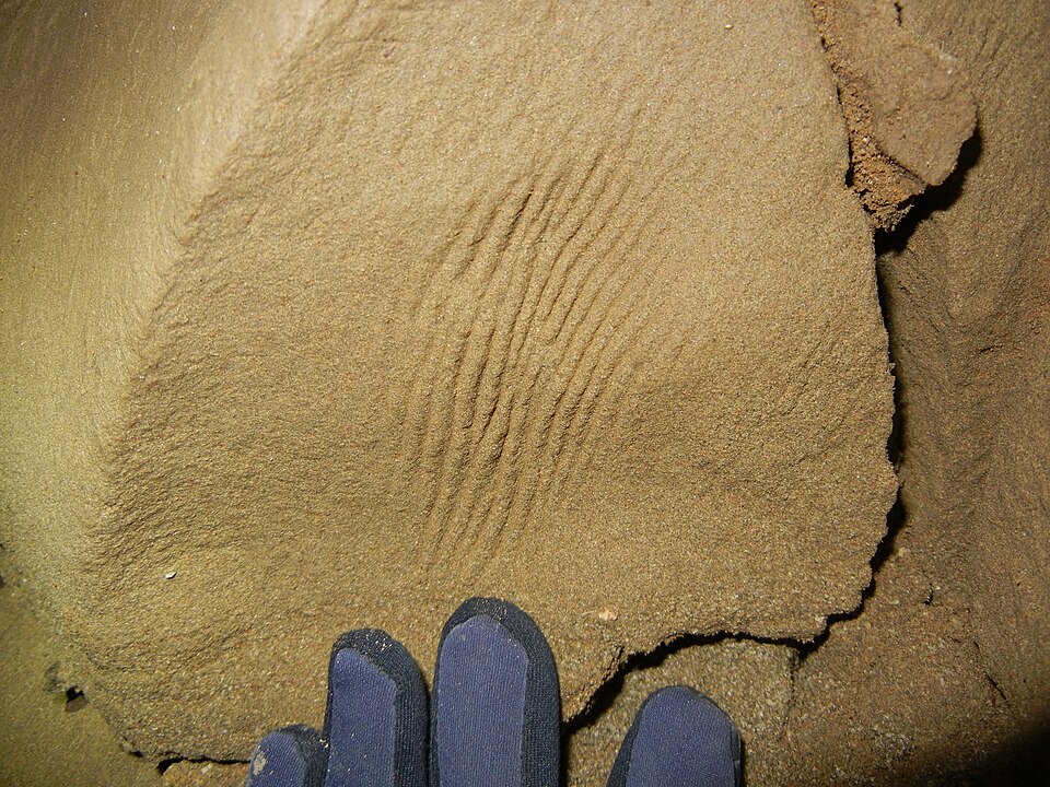 Loess