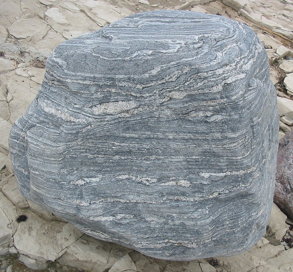 Migmatite (Metatexite), a metamorphic rock specimen