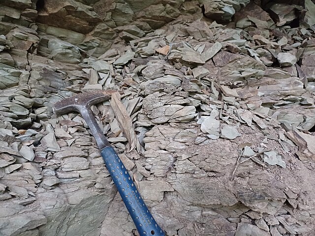 Mudstone, a sedimentary rock specimen