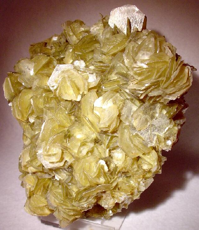 Muscovite
