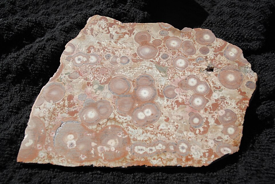 Jasper (Orbicular)