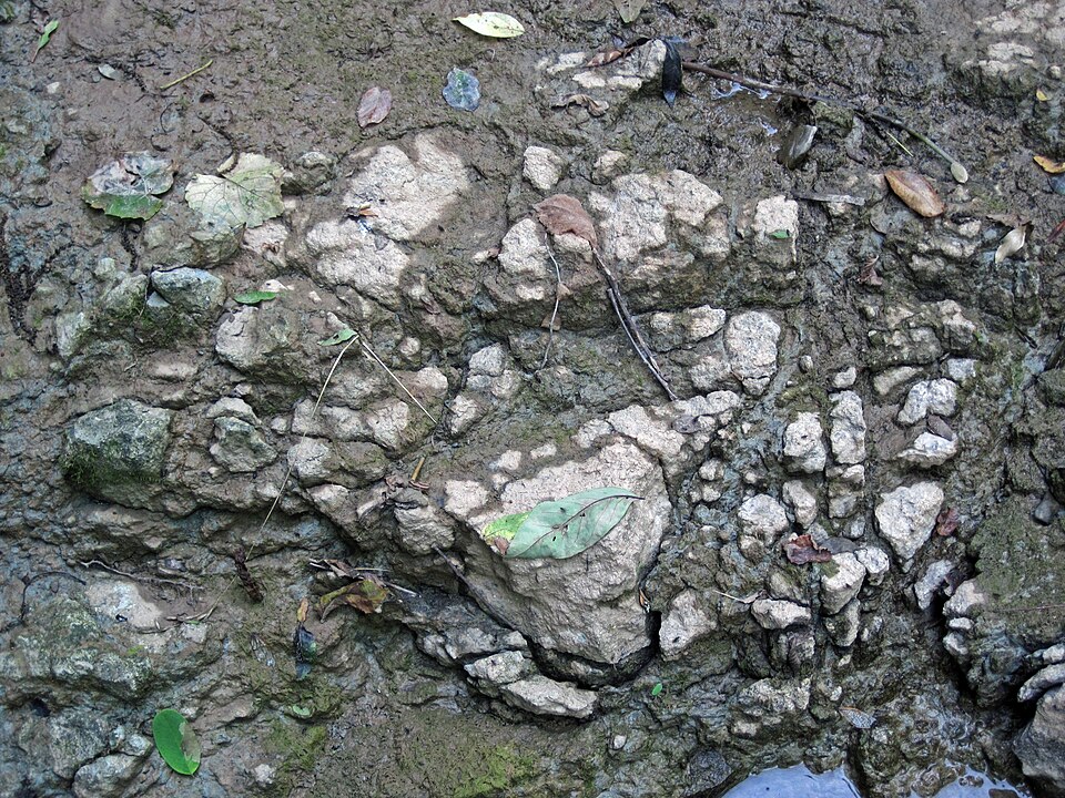 Pedogenic Carbonate