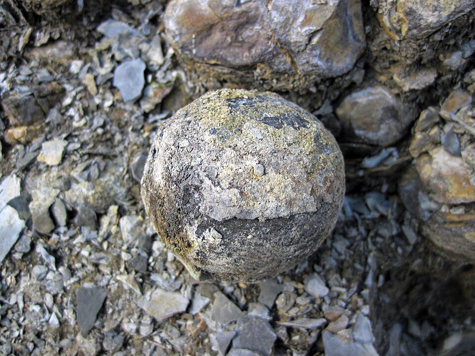 Phosphatic Nodule