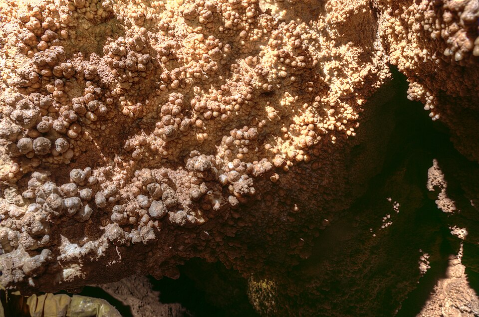 Pisolite, a sedimentary rock specimen
