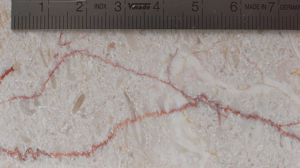 Stylolitic Limestone