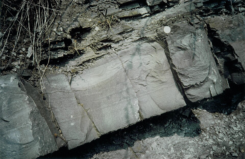Turbidite