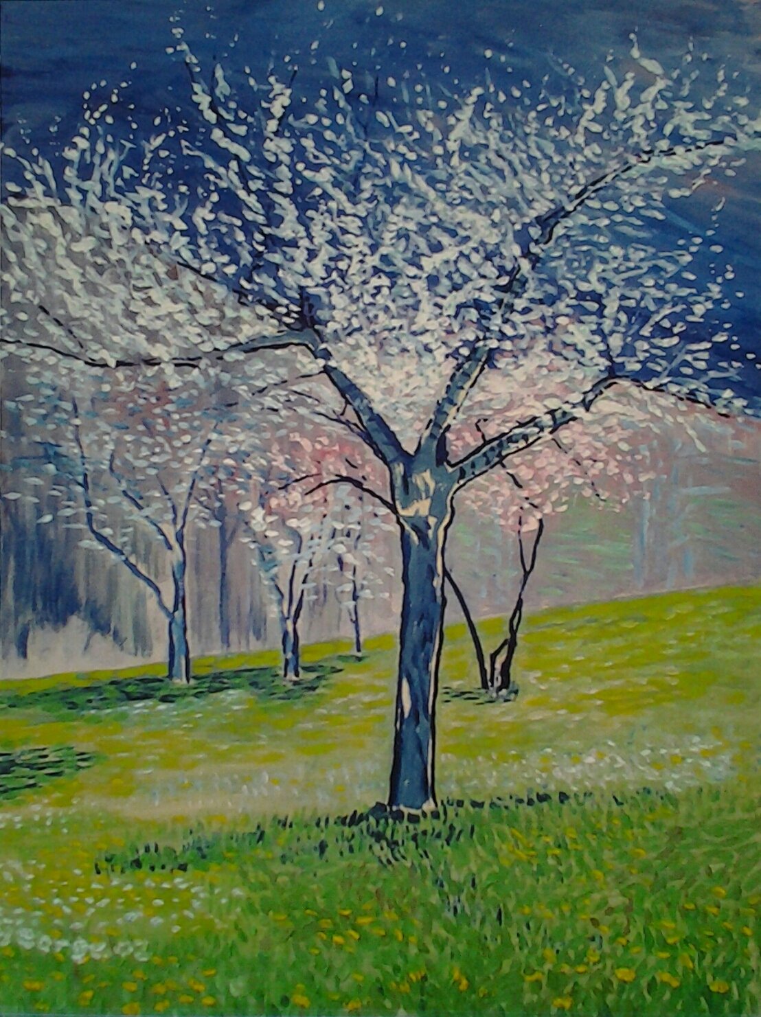 Plum Tree in Blossom